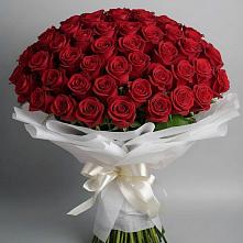 Букет 101 Красная роза Блэк Мэджик в Советске Калининградской области
