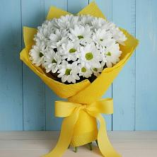 Букет цветов из:  Хризантемы в Советске Калининградской области