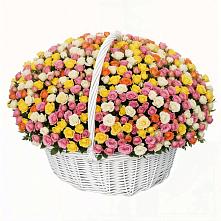 Премиум букет из: Розы в Советске Калининградской области