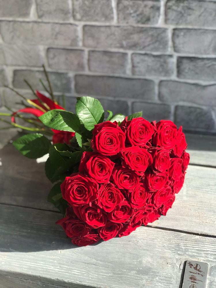 Букет Красные розы Фридом в Советске Калининградской области