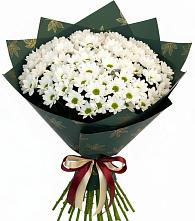 Букет цветов из:  Хризантемы в Советске Калининградской области