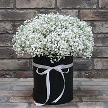 Цветочная композиция из Гипсофила в шляпной коробке в Советске Калининградской области