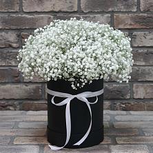 Цветочная композиция из Гипсофила в шляпной коробке в Советске Калининградской области